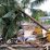 10 Rumah Warga Hanyut Diterjang Banjir Bandang di Tolitoli