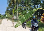 Warga Malakosa Tanami Pohon di Jalan, Buntut Proyek Mandek